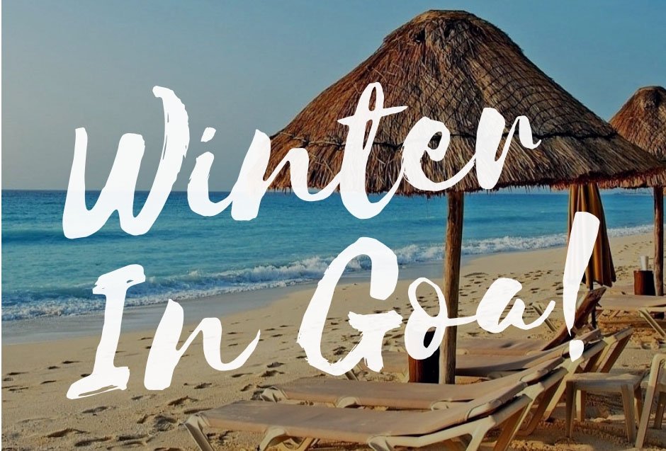 Experience The Best Of Goa This Winter